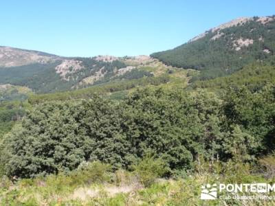 Pinar de Canencia y Mina de Plata del Indiano;asociaciones senderismo madrid;pedraza velas